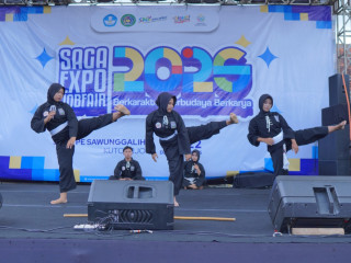 Pencak Silat