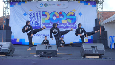 Pencak Silat